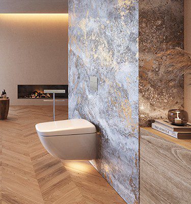 You are currently viewing Toilets are Smart too!