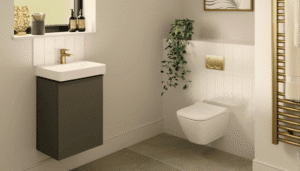 Read more about the article Toilet Talk
