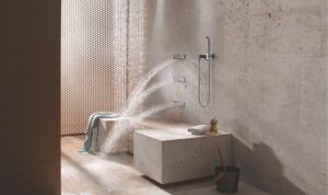 Read more about the article Sit in your Shower