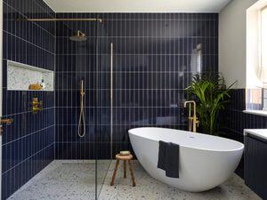Read more about the article Blue is the colour?