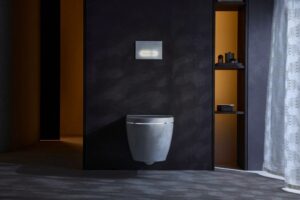 Read more about the article Toilet Technology